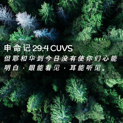 Picture 02 - 申 命 记 29:4 CUVS - 但 耶 和 华 到 今 日 没 有 使 你 们 - Bible Verse Picture
