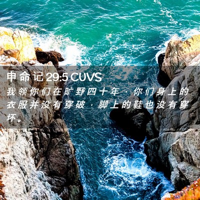 Picture 02 - 申 命 记 29:5 CUVS - 我 领 你 们 在 旷 野 四 十 年 ， 你 - Bible Verse Picture