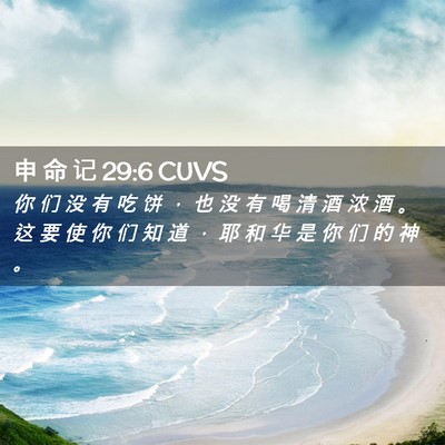 Picture 02 - 申 命 记 29:6 CUVS - 你 们 没 有 吃 饼 ， 也 没 有 喝 清 - Bible Verse Picture