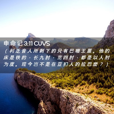 Picture 02 - 申 命 记 3:11 CUVS - （ 利 乏 音 人 所 剩 下 的 只 有 巴 - Bible Verse Picture