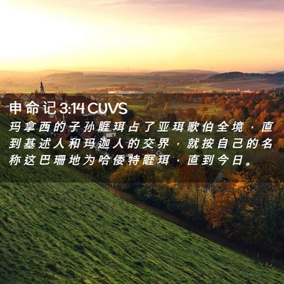 Picture 02 - 申 命 记 3:14 CUVS - 玛 拿 西 的 子 孙 睚 珥 占 了 亚 珥 - Bible Verse Picture