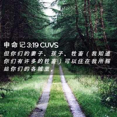 Picture 02 - 申 命 记 3:19 CUVS - 但 你 们 的 妻 子 、 孩 子 、 牲 畜 - Bible Verse Picture