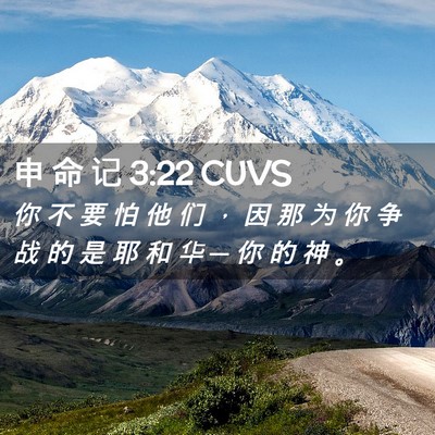Picture 02 - 申 命 记 3:22 CUVS - 你 不 要 怕 他 们 ， 因 那 为 你 争 - Bible Verse Picture