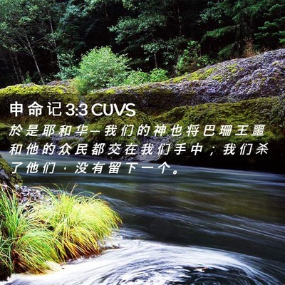 Picture 02 - 申 命 记 3:3 CUVS - 於 是 耶 和 华 ─ 我 们 的 神 也 将 - Bible Verse Picture