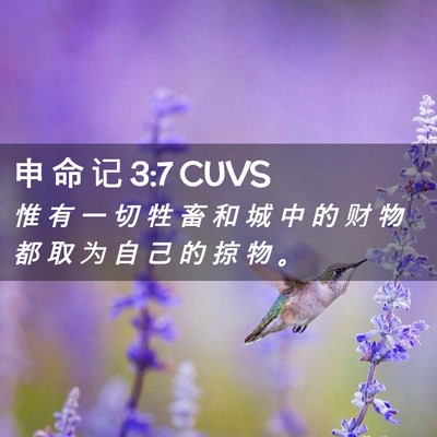 Picture 02 - 申 命 记 3:7 CUVS - 惟 有 一 切 牲 畜 和 城 中 的 财 物 - Bible Verse Picture