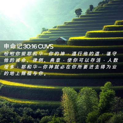 Picture 02 - 申 命 记 30:16 CUVS - 吩 咐 你 爱 耶 和 华 ─ 你 的 神 ， - Bible Verse Picture