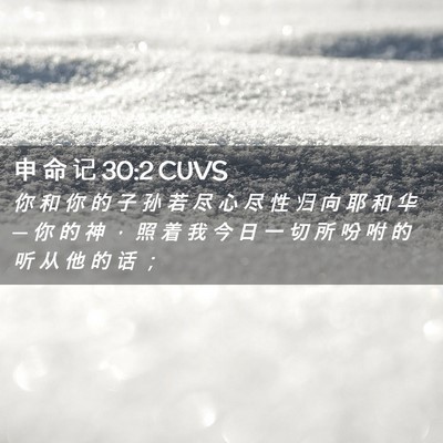 Picture 02 - 申 命 记 30:2 CUVS - 你 和 你 的 子 孙 若 尽 心 尽 性 归 - Bible Verse Picture