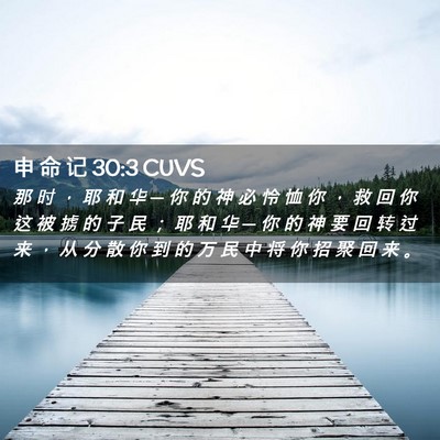 Picture 02 - 申 命 记 30:3 CUVS - 那 时 ， 耶 和 华 ─ 你 的 神 必 怜 - Bible Verse Picture