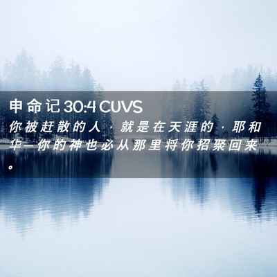 Picture 02 - 申 命 记 30:4 CUVS - 你 被 赶 散 的 人 ， 就 是 在 天 涯 - Bible Verse Picture