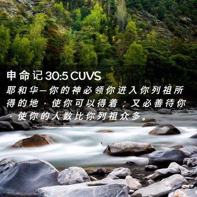 Picture 02 - 申 命 记 30:5 CUVS - 耶 和 华 ─ 你 的 神 必 领 你 进 入 - Bible Verse Picture
