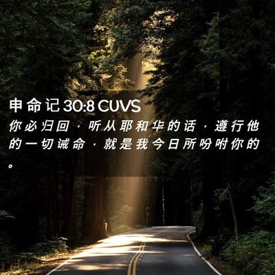 Picture 02 - 申 命 记 30:8 CUVS - 你 必 归 回 ， 听 从 耶 和 华 的 话 - Bible Verse Picture