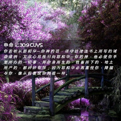 Picture 02 - 申 命 记 30:9 CUVS - 你 若 听 从 耶 和 华 ─ 你 神 的 话 - Bible Verse Picture
