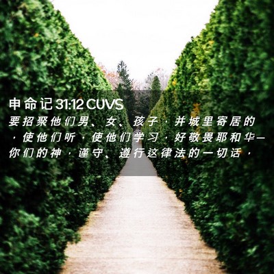 Picture 02 - 申 命 记 31:12 CUVS - 要 招 聚 他 们 男 、 女 、 孩 子 ， - Bible Verse Picture