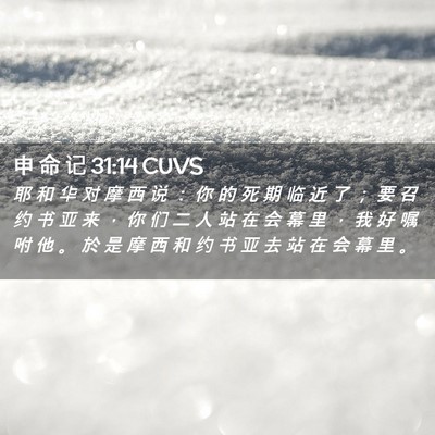 Picture 02 - 申 命 记 31:14 CUVS - 耶 和 华 对 摩 西 说 ： 你 的 死 期 - Bible Verse Picture