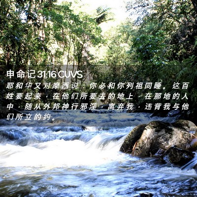 Picture 02 - 申 命 记 31:16 CUVS - 耶 和 华 又 对 摩 西 说 ： 你 必 和 - Bible Verse Picture