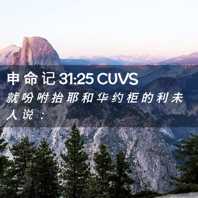 Picture 02 - 申 命 记 31:25 CUVS - 就 吩 咐 抬 耶 和 华 约 柜 的 利 未 - Bible Verse Picture