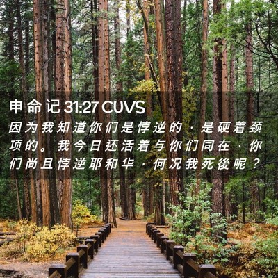 Picture 02 - 申 命 记 31:27 CUVS - 因 为 我 知 道 你 们 是 悖 逆 的 ， - Bible Verse Picture