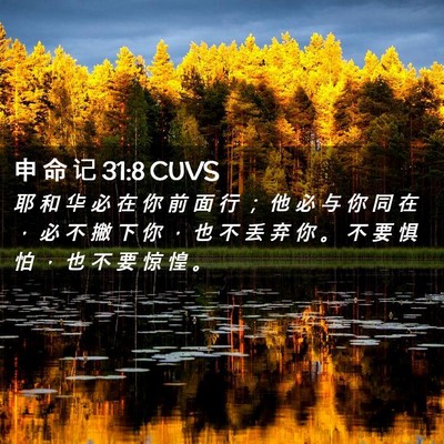 Picture 02 - 申 命 记 31:8 CUVS - 耶 和 华 必 在 你 前 面 行 ； 他 必 - Bible Verse Picture