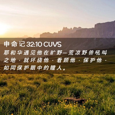 Picture 02 - 申 命 记 32:10 CUVS - 耶 和 华 遇 见 他 在 旷 野 ─ 荒 凉 - Bible Verse Picture