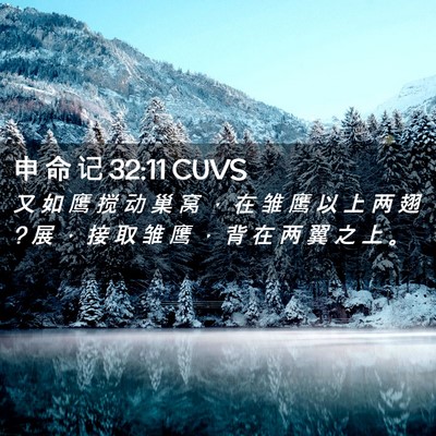 Picture 02 - 申 命 记 32:11 CUVS - 又 如 鹰 搅 动 巢 窝 ， 在 雏 鹰 以 - Bible Verse Picture