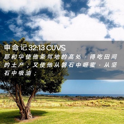 Picture 02 - 申 命 记 32:13 CUVS - 耶 和 华 使 他 乘 驾 地 的 高 处 ， - Bible Verse Picture