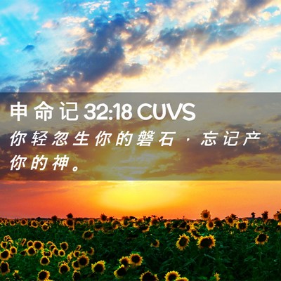 Picture 02 - 申 命 记 32:18 CUVS - 你 轻 忽 生 你 的 磐 石 ， 忘 记 产 - Bible Verse Picture