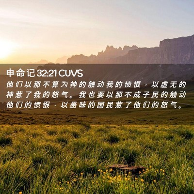 Picture 02 - 申 命 记 32:21 CUVS - 他 们 以 那 不 算 为 神 的 触 动 我 - Bible Verse Picture