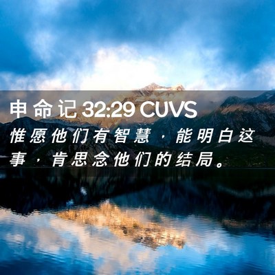 Picture 02 - 申 命 记 32:29 CUVS - 惟 愿 他 们 有 智 慧 ， 能 明 白 这 - Bible Verse Picture