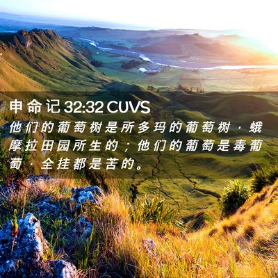 Picture 02 - 申 命 记 32:32 CUVS - 他 们 的 葡 萄 树 是 所 多 玛 的 葡 - Bible Verse Picture