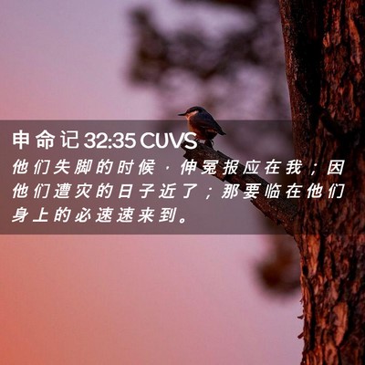 Picture 02 - 申 命 记 32:35 CUVS - 他 们 失 脚 的 时 候 ， 伸 冤 报 应 - Bible Verse Picture