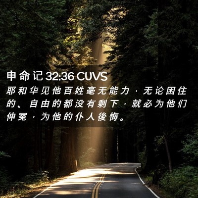 Picture 02 - 申 命 记 32:36 CUVS - 耶 和 华 见 他 百 姓 毫 无 能 力 ， - Bible Verse Picture