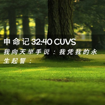 Picture 02 - 申 命 记 32:40 CUVS - 我 向 天 举 手 说 ： 我 凭 我 的 永 - Bible Verse Picture