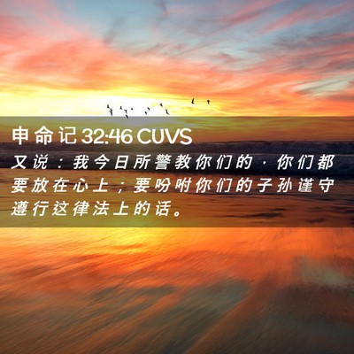 Picture 02 - 申 命 记 32:46 CUVS - 又 说 ： 我 今 日 所 警 教 你 们 的 - Bible Verse Picture