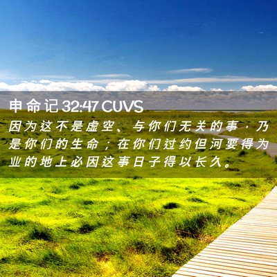 Picture 02 - 申 命 记 32:47 CUVS - 因 为 这 不 是 虚 空 、 与 你 们 无 - Bible Verse Picture
