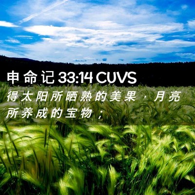 Picture 02 - 申 命 记 33:14 CUVS - 得 太 阳 所 晒 熟 的 美 果 ， 月 亮 - Bible Verse Picture