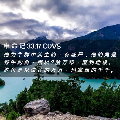 Picture 02 - 申 命 记 33:17 CUVS - 他 为 牛 群 中 头 生 的 ， 有 威 严 - Bible Verse Picture