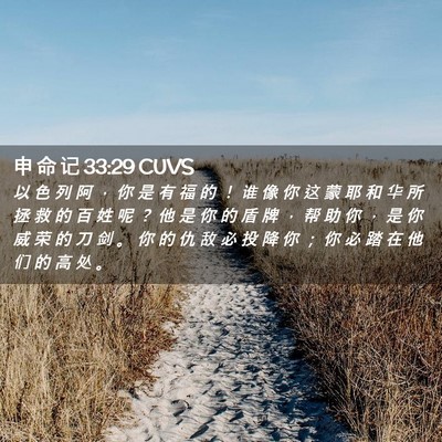 Picture 02 - 申 命 记 33:29 CUVS - 以 色 列 阿 ， 你 是 有 福 的 ！ 谁 - Bible Verse Picture