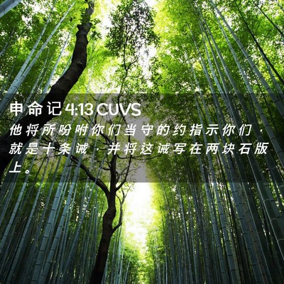 Picture 02 - 申 命 记 4:13 CUVS - 他 将 所 吩 咐 你 们 当 守 的 约 指 - Bible Verse Picture