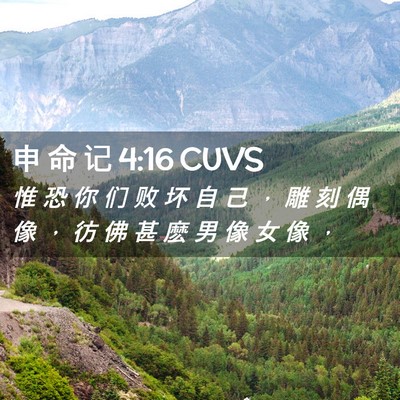 Picture 02 - 申 命 记 4:16 CUVS - 惟 恐 你 们 败 坏 自 己 ， 雕 刻 偶 - Bible Verse Picture