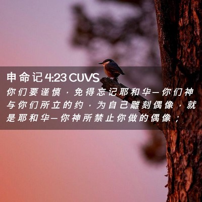 Picture 02 - 申 命 记 4:23 CUVS - 你 们 要 谨 慎 ， 免 得 忘 记 耶 和 - Bible Verse Picture