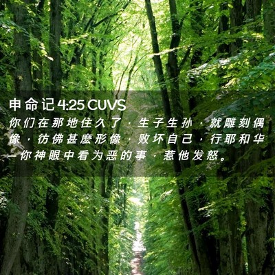 Picture 02 - 申 命 记 4:25 CUVS - 你 们 在 那 地 住 久 了 ， 生 子 生 - Bible Verse Picture