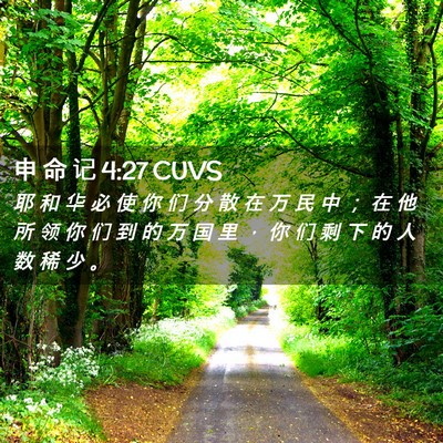 Picture 02 - 申 命 记 4:27 CUVS - 耶 和 华 必 使 你 们 分 散 在 万 民 - Bible Verse Picture