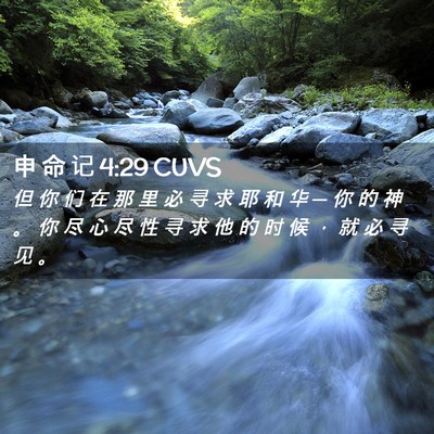Picture 02 - 申 命 记 4:29 CUVS - 但 你 们 在 那 里 必 寻 求 耶 和 华 - Bible Verse Picture