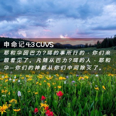 Picture 02 - 申 命 记 4:3 CUVS - 耶 和 华 因 巴 力 ? 珥 的 事 所 行 的 - Bible Verse Picture