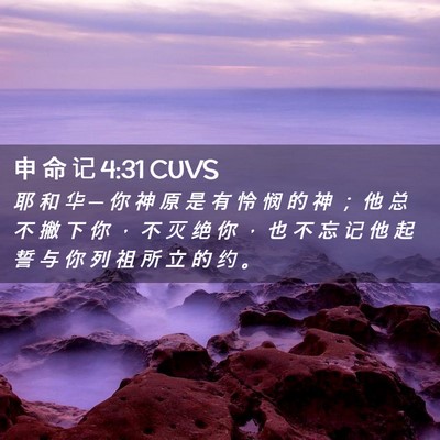 Picture 02 - 申 命 记 4:31 CUVS - 耶 和 华 ─ 你 神 原 是 有 怜 悯 的 - Bible Verse Picture