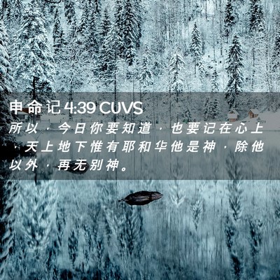 Picture 02 - 申 命 记 4:39 CUVS - 所 以 ， 今 日 你 要 知 道 ， 也 要 - Bible Verse Picture