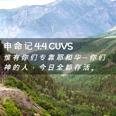 Picture 02 - 申 命 记 4:4 CUVS - 惟 有 你 们 专 靠 耶 和 华 ─ 你 们 - Bible Verse Picture