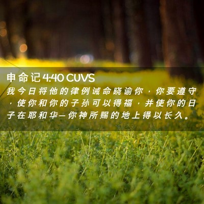 Picture 02 - 申 命 记 4:40 CUVS - 我 今 日 将 他 的 律 例 诫 命 晓 谕 - Bible Verse Picture