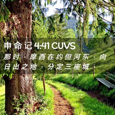 Picture 02 - 申 命 记 4:41 CUVS - 那 时 ， 摩 西 在 约 但 河 东 ， 向 - Bible Verse Picture
