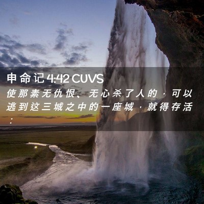 Picture 02 - 申 命 记 4:42 CUVS - 使 那 素 无 仇 恨 、 无 心 杀 了 人 - Bible Verse Picture